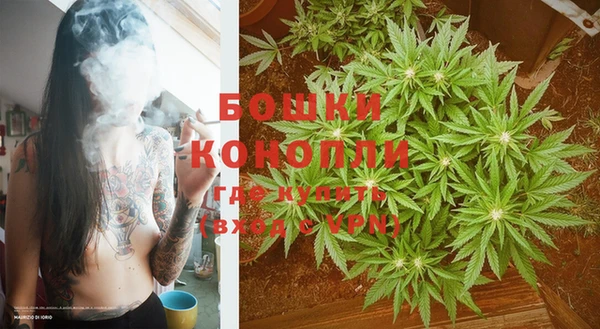 гидра Билибино