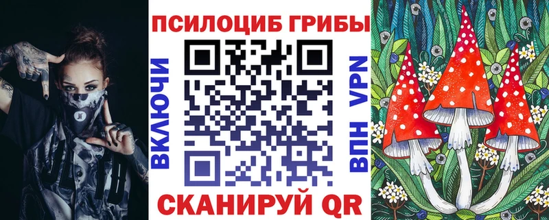 Псилоцибиновые грибы мицелий  Злынка 